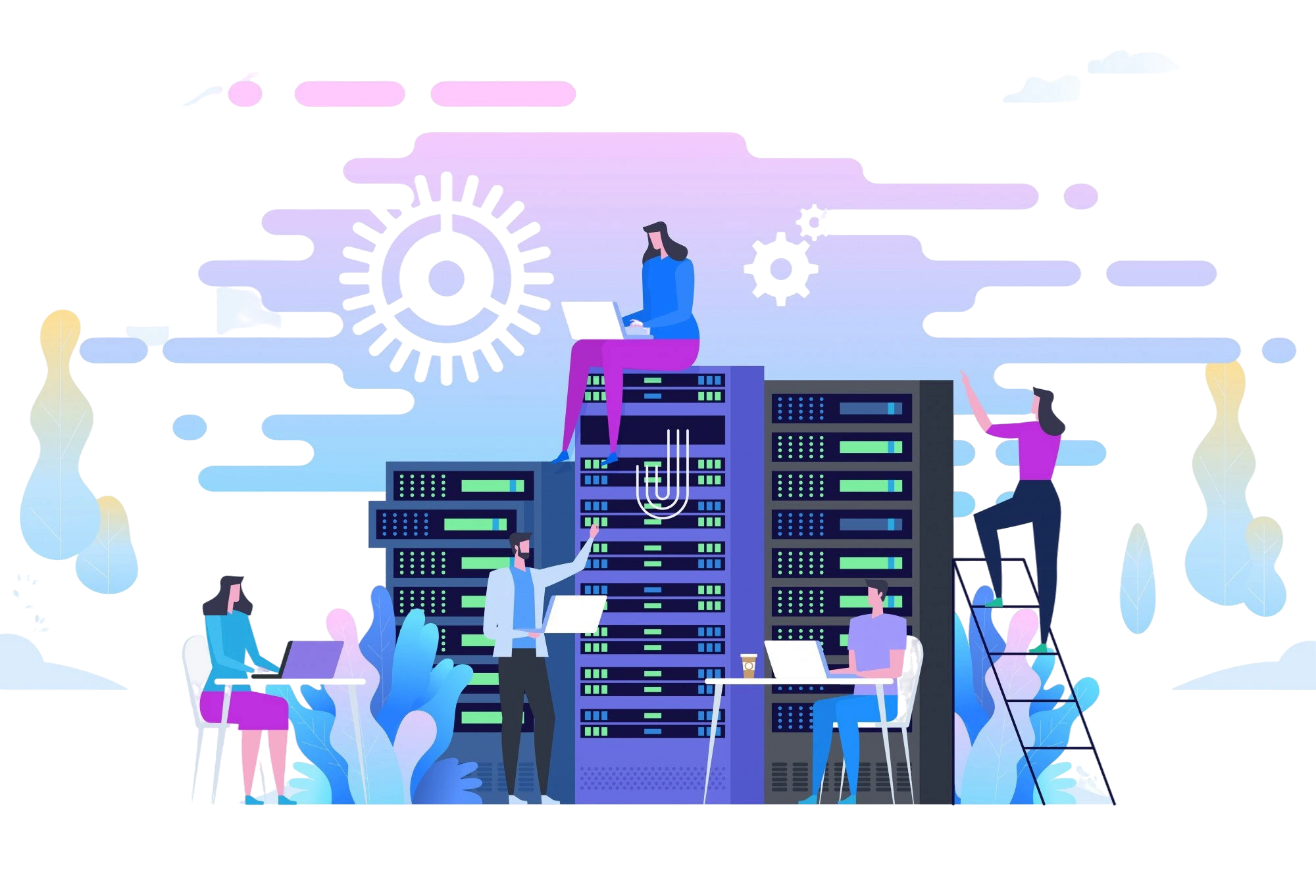 Massachusetts Dedicated server Platform